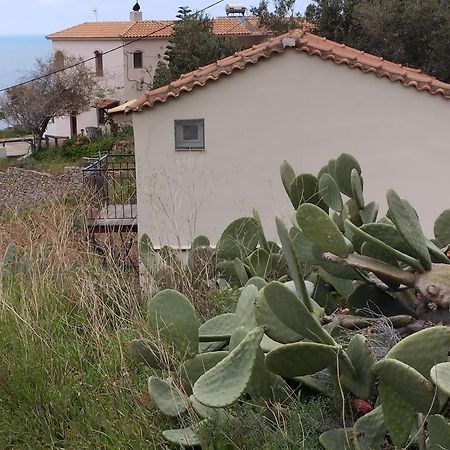 Niriides Studios Armenistis  Esterno foto